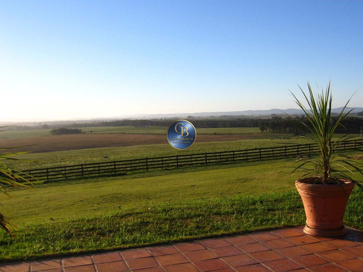 Campo Ref.1208 - En venta 92 hectáreas con hermosa casa.