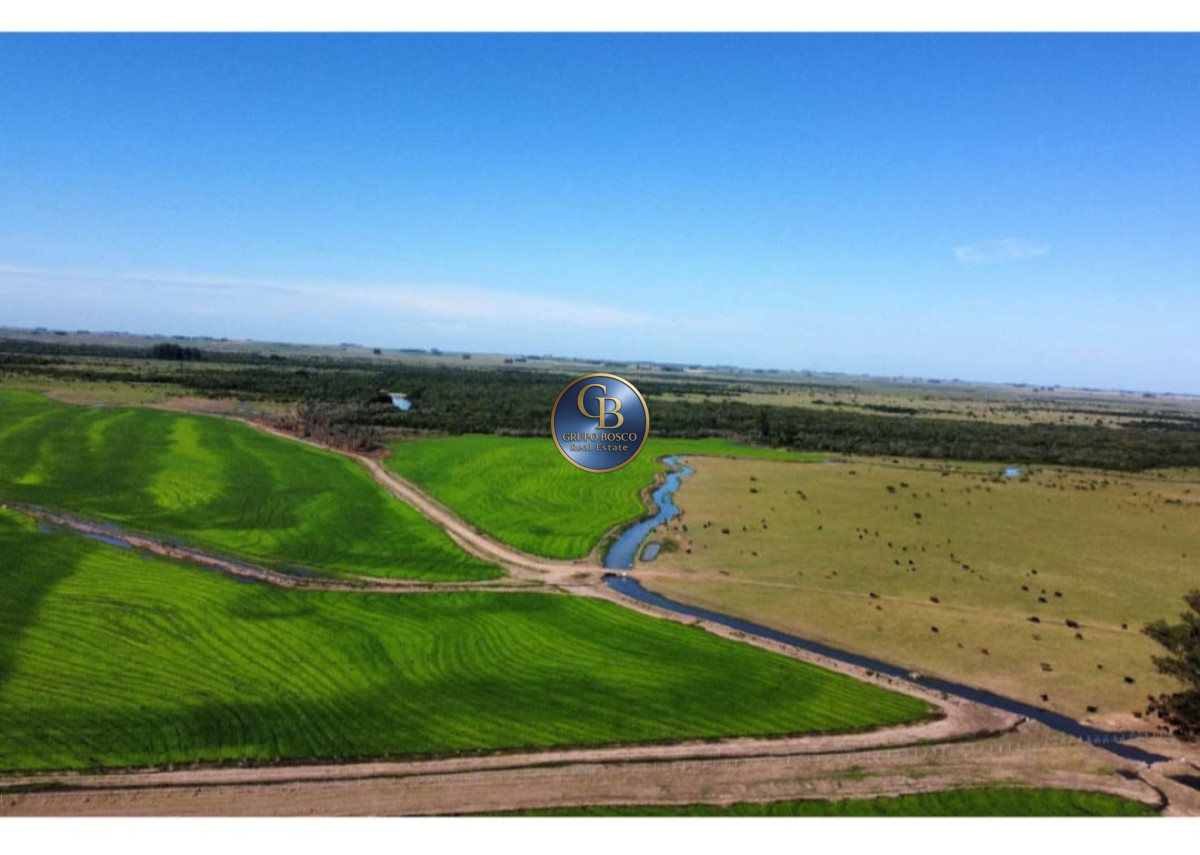Campo Ref.1257 - Campo 1200 Hectáreas 