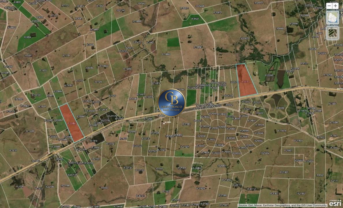 Campo Ref.1128 - En venta campos sobre ruta 9, José Ignacio .