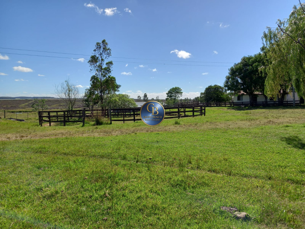 Campo Ref.1256 - Campo 1150 Hectáreas 