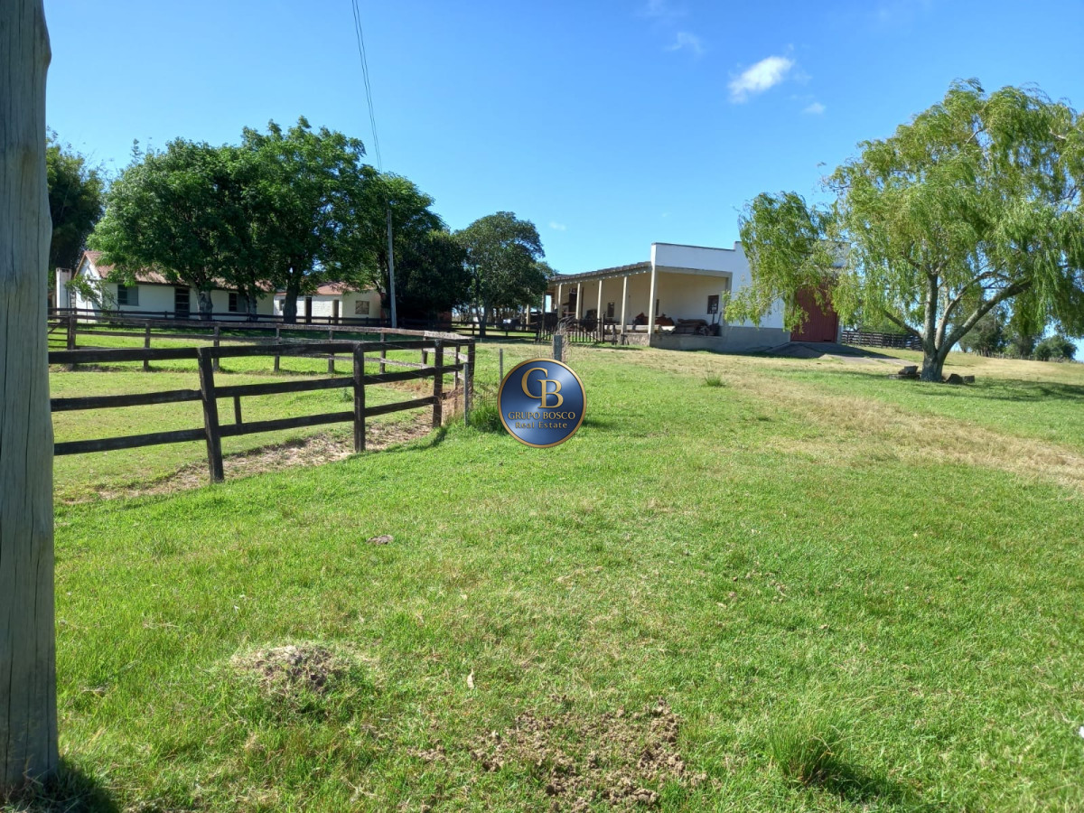Campo Ref.1256 - Campo 1150 Hectáreas 