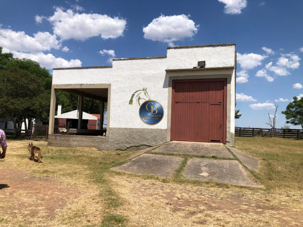 Campo Ref.1256 - Campo 1150 Hectáreas 