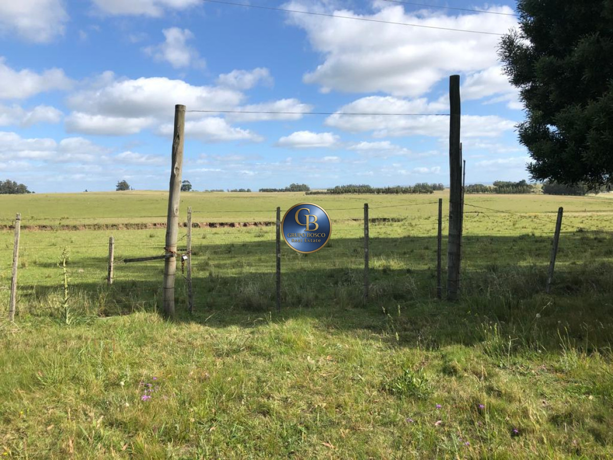 Campo Ref.1128 - En venta campos sobre ruta 9, José Ignacio .