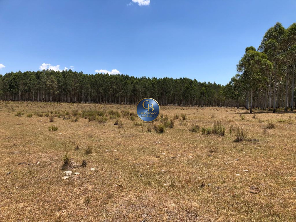 Campo Ref.1256 - Campo 1150 Hectáreas 