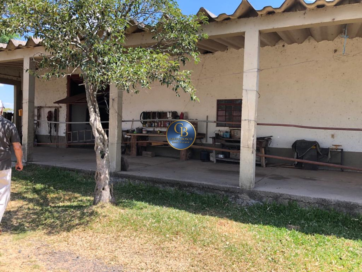 Campo Ref.1256 - Campo 1150 Hectáreas 