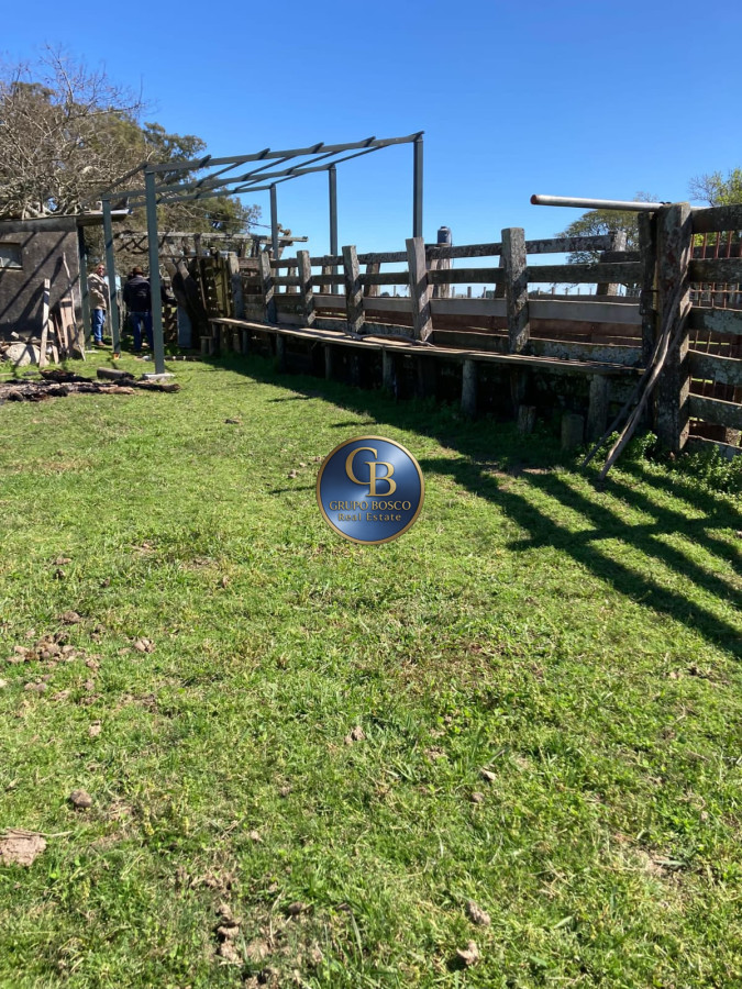 Campo Ref.1257 - Campo 1200 Hectáreas 
