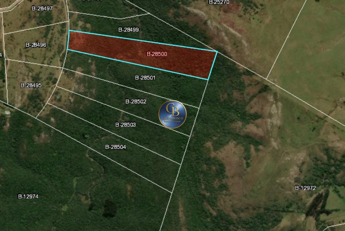 Campo Ref.722 - En Venta,  3 chacras en Sierra Carape´