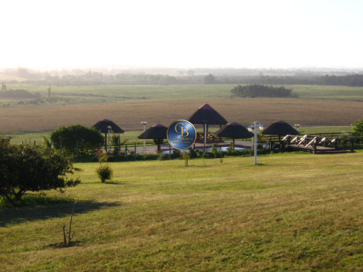 Campo Ref.1208 - En venta 92 hectáreas con hermosa casa.