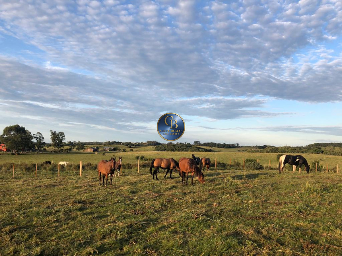 Campo Ref.1338 - Campo  Valle del Toro. 56 hectáreas a U$S 8000 por hectárea.
