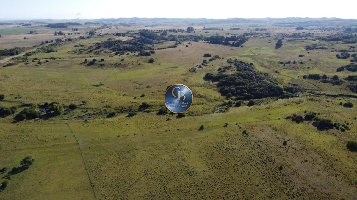 Campo Ref.1338 - Campo  Valle del Toro. 56 hectáreas a U$S 8000 por hectárea.
