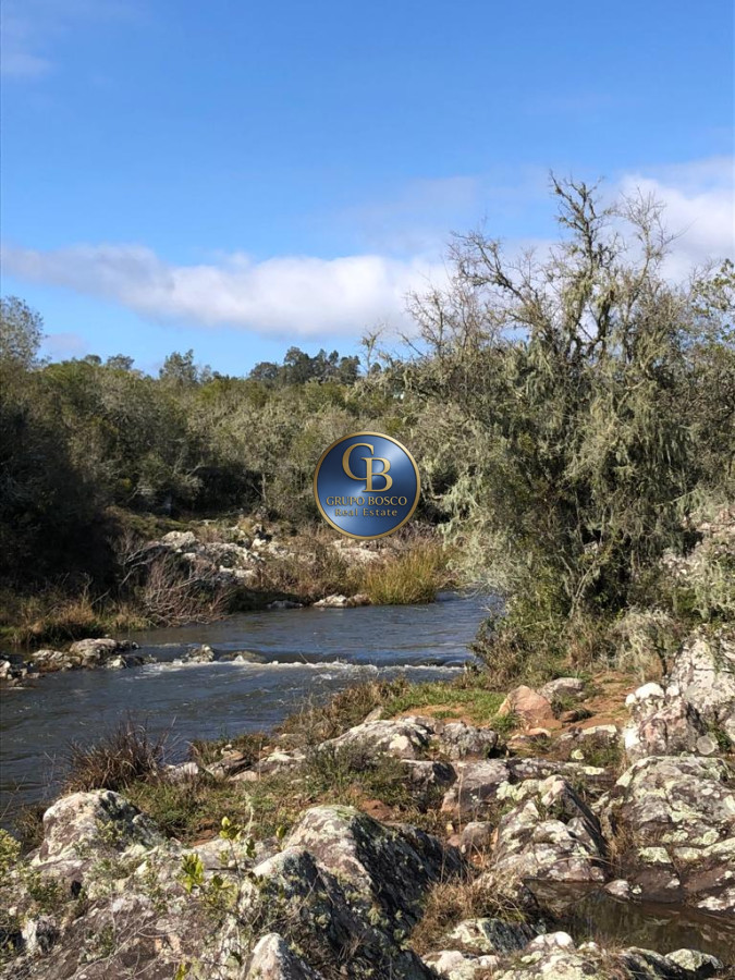 Campo Ref.1338 - Campo  Valle del Toro. 56 hectáreas a U$S 8000 por hectárea.