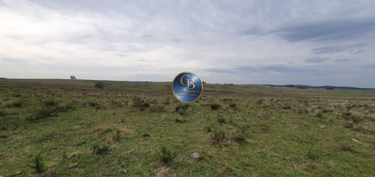 Campo Ref.1141 - Campo a kilometros de José Ignacio