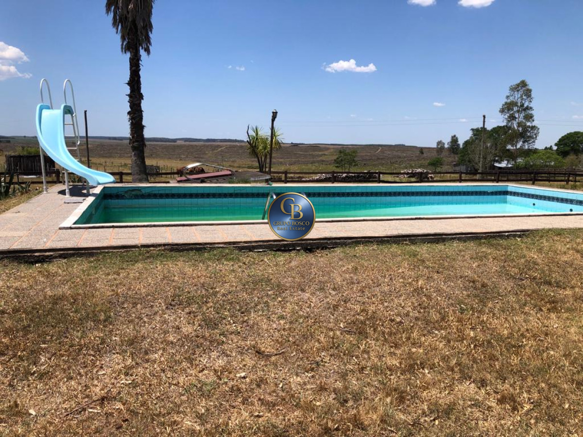 Campo Ref.1256 - Campo 1150 Hectáreas 