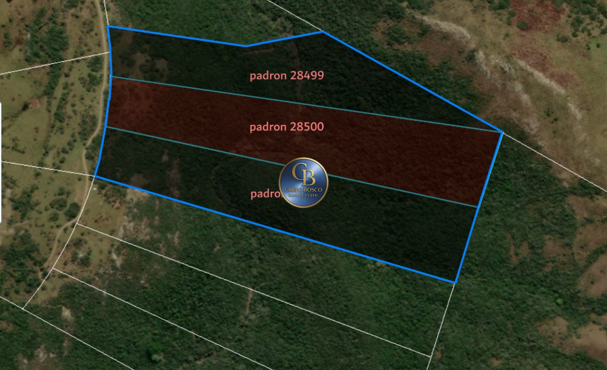 Campo Ref.722 - En Venta,  3 chacras en Sierra Carape´