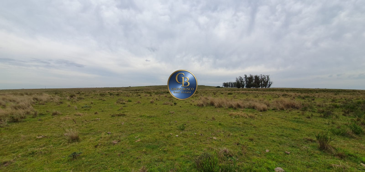 Campo Ref.1141 - Campo a kilometros de José Ignacio
