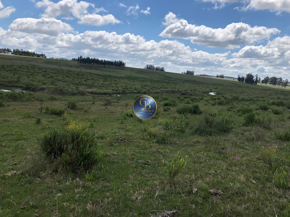 Campo Ref.1128 - En venta campos sobre ruta 9, José Ignacio .