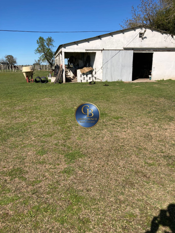 Campo Ref.1257 - Campo 1200 Hectáreas 