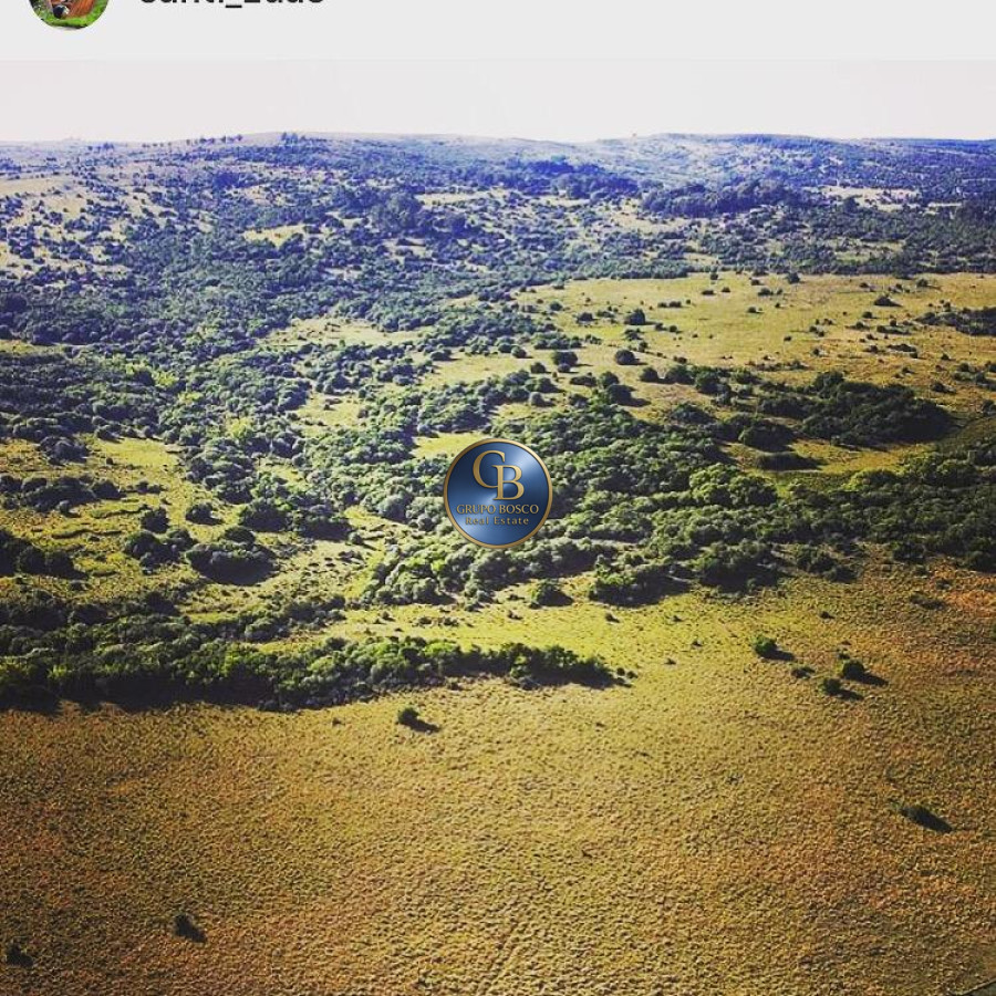 Campo Ref.1338 - Campo  Valle del Toro. 56 hectáreas a U$S 8000 por hectárea.