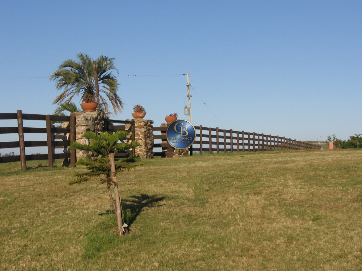 Campo Ref.1208 - En venta 92 hectáreas con hermosa casa.