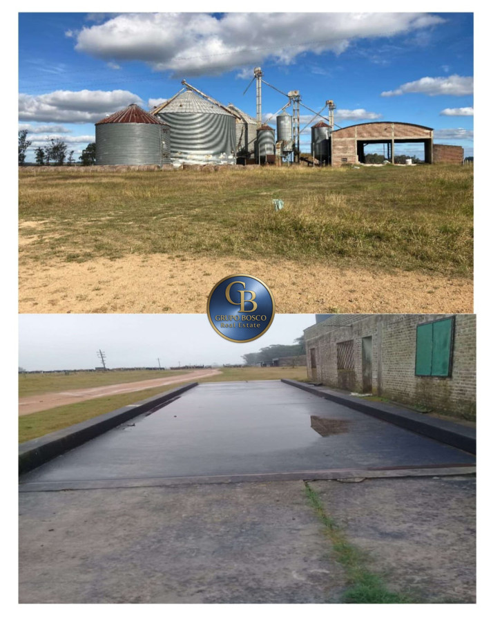 Campo Ref.1257 - Campo 1200 Hectáreas 