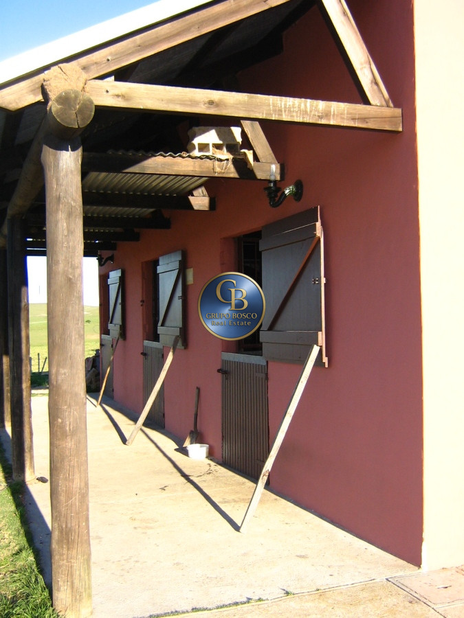 Campo Ref.1208 - En venta 92 hectáreas con hermosa casa.