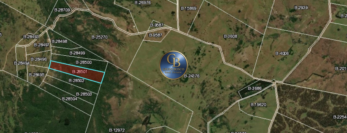 Campo Ref.722 - En Venta,  3 chacras en Sierra Carape´