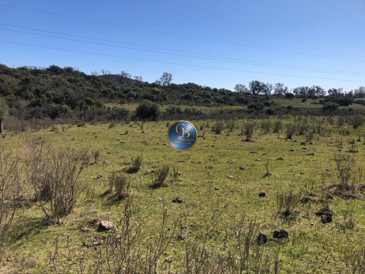 Campo Ref.1338 - Campo  Valle del Toro. 56 hectáreas a U$S 8000 por hectárea.