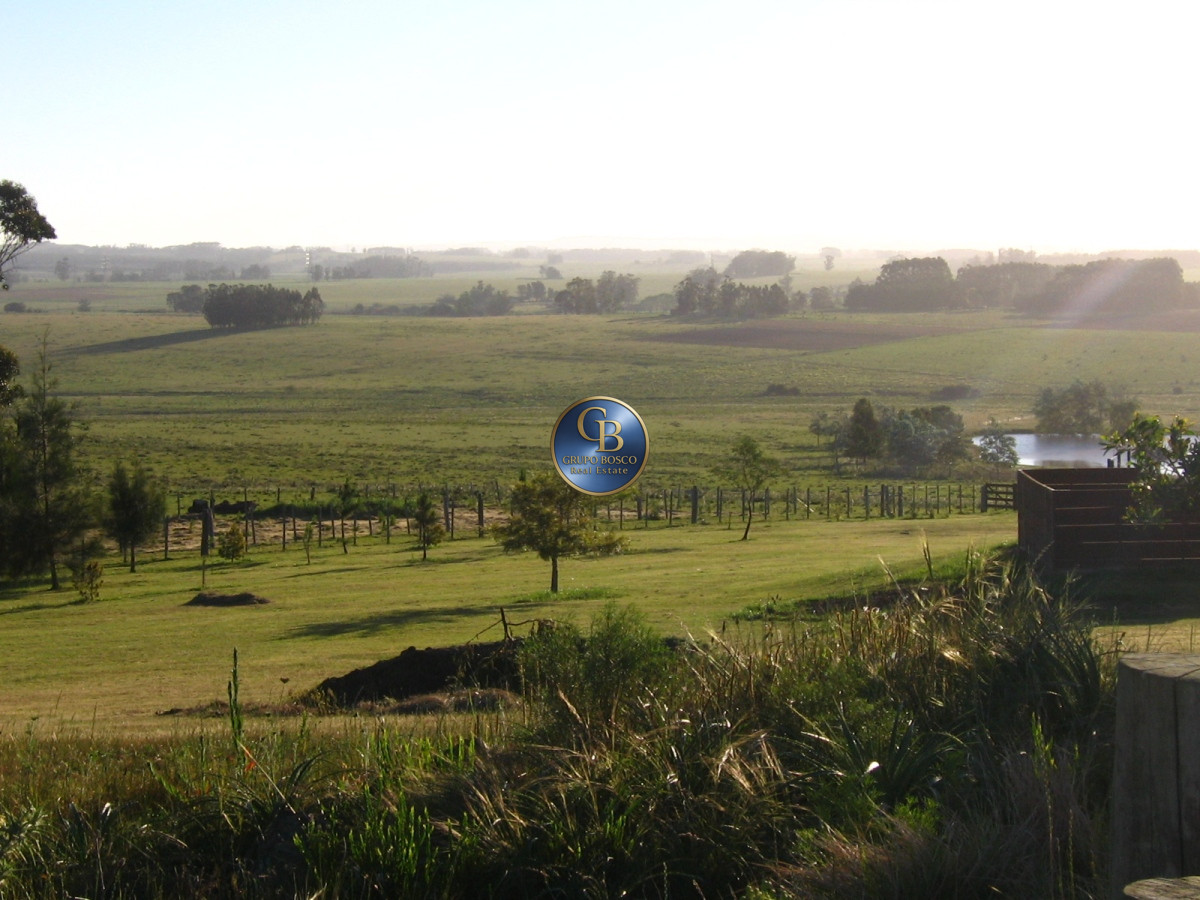 Campo Ref.1208 - En venta 92 hectáreas con hermosa casa.