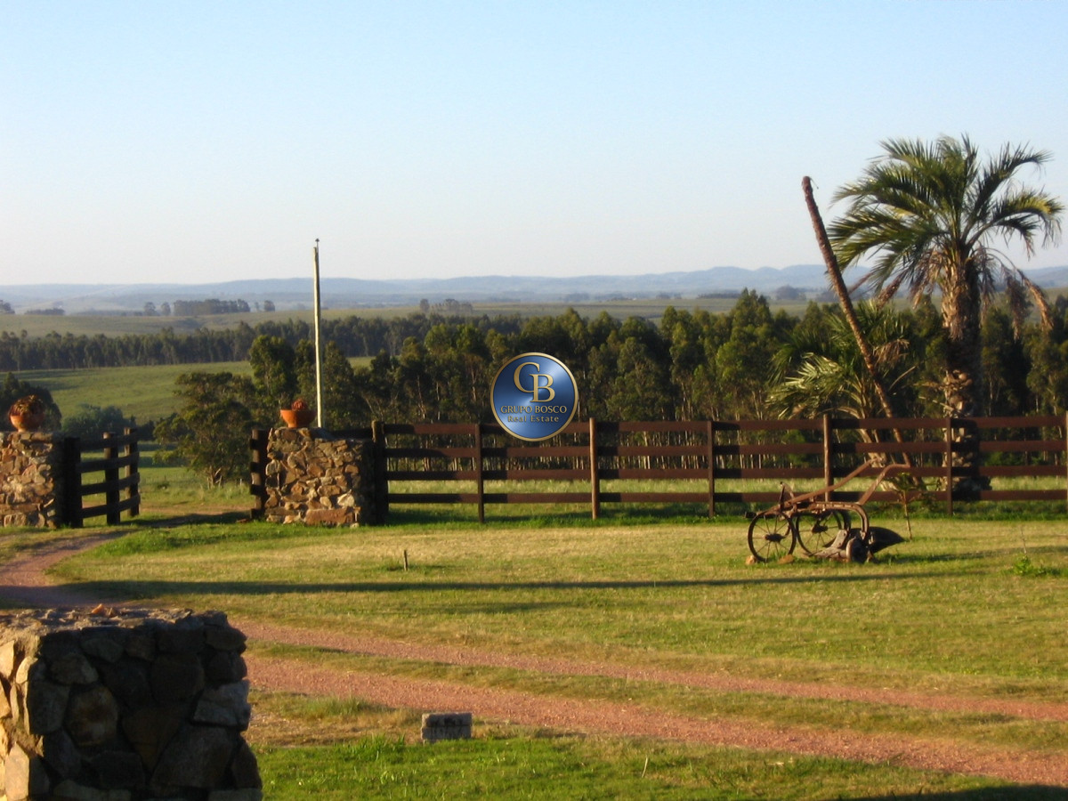 Campo Ref.1208 - En venta 92 hectáreas con hermosa casa.