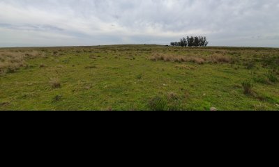 Campo a kilometros de José Ignacio