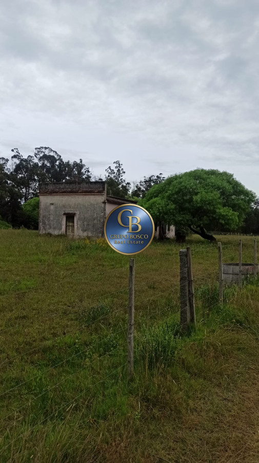 Terreno ID.1188 - Oportunidad! Venta Terreno de 10 hectáreas , Punta Ballena.