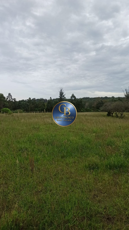 Terreno ID.1188 - Oportunidad! Venta Terreno de 10 hectáreas , Punta Ballena.
