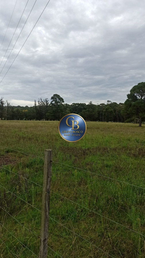 Terreno ID.1188 - Oportunidad! Venta Terreno de 10 hectáreas , Punta Ballena.