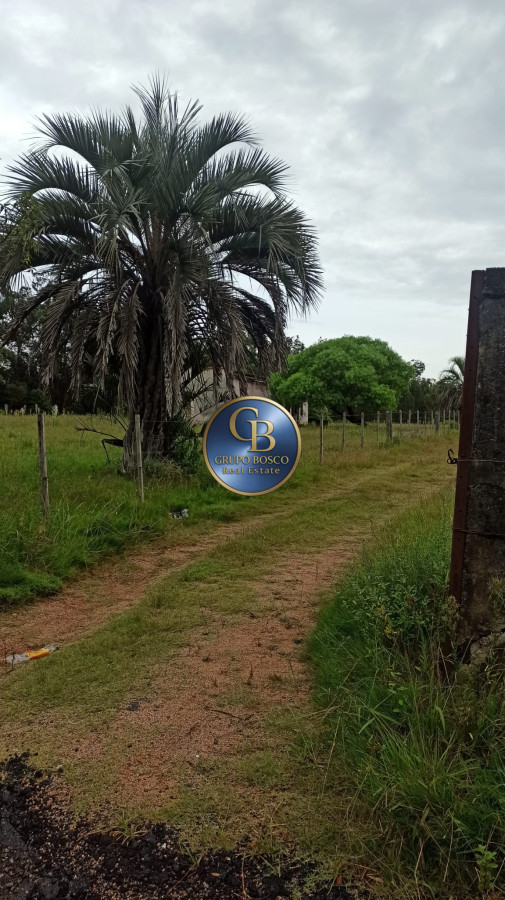 Terreno ID.1188 - Oportunidad! Venta Terreno de 10 hectáreas , Punta Ballena.
