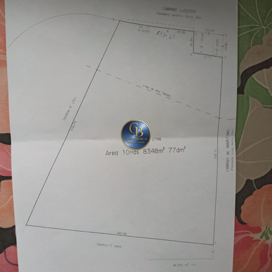 Terreno ID.1188 - Oportunidad! Venta Terreno de 10 hectáreas , Punta Ballena.