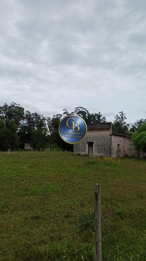 Terreno ID.1188 - Oportunidad! Venta Terreno de 10 hectáreas , Punta Ballena.