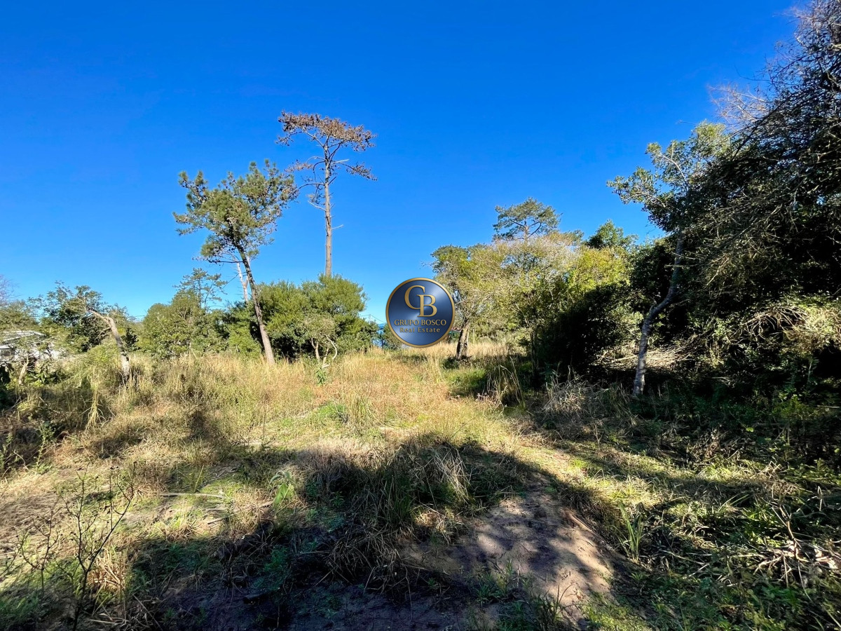Terreno ID.1159 - Terrenos Farrellones Ocean Park