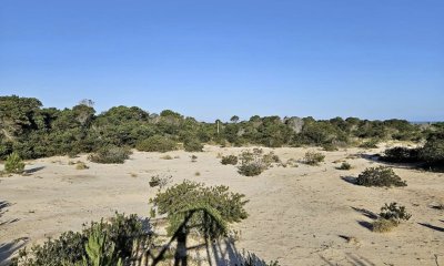Terreno Punta Rubia