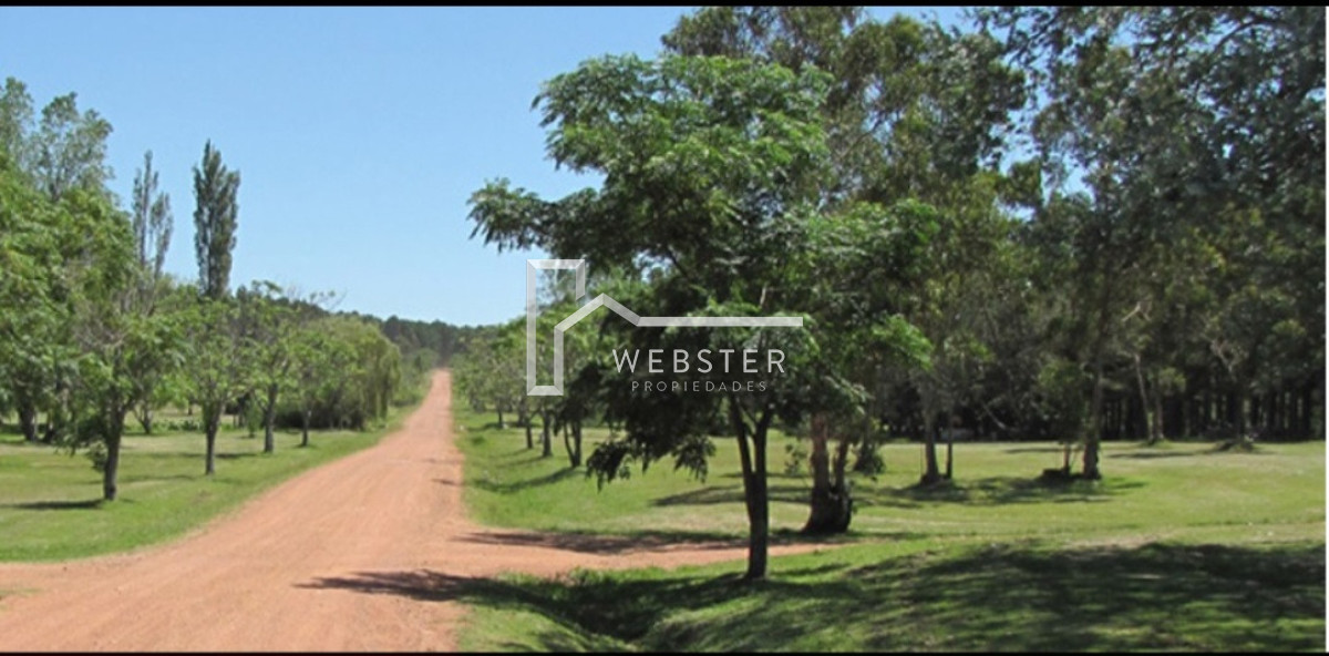 Terreno ID.2434 - PUNTA BALLENA CNO LUSSICH TERRENOS DE 2000 M2 EN VENTA!!!