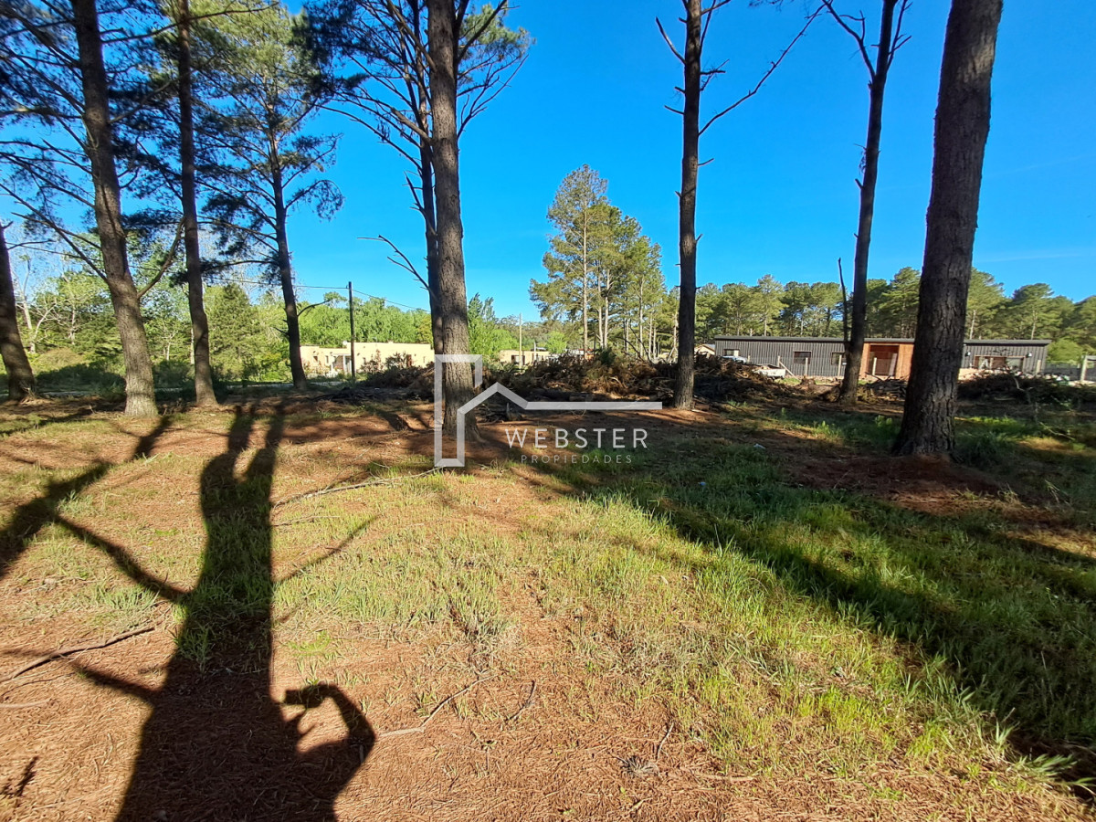 Terreno ID.2434 - PUNTA BALLENA CNO LUSSICH TERRENOS DE 2000 M2 EN VENTA!!!