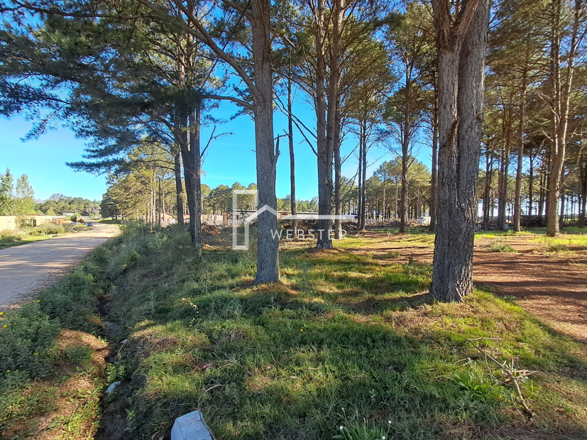 Terreno ID.2434 - PUNTA BALLENA CNO LUSSICH TERRENOS DE 2000 M2 EN VENTA!!!