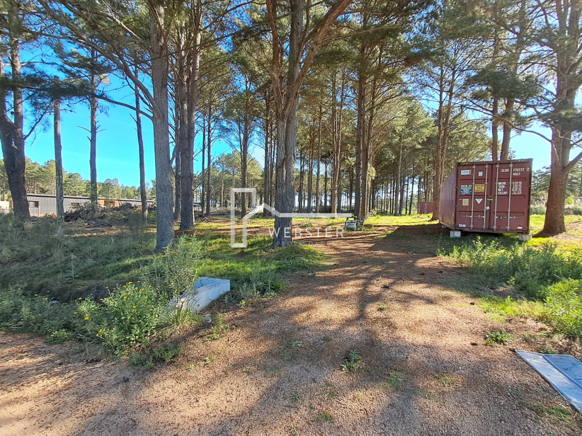 Terreno ID.2434 - PUNTA BALLENA CNO LUSSICH TERRENOS DE 2000 M2 EN VENTA!!!