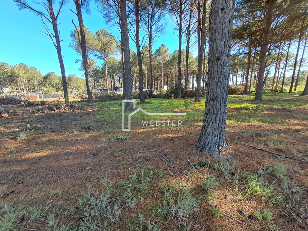 Terreno ID.2434 - PUNTA BALLENA CNO LUSSICH TERRENOS DE 2000 M2 EN VENTA!!!