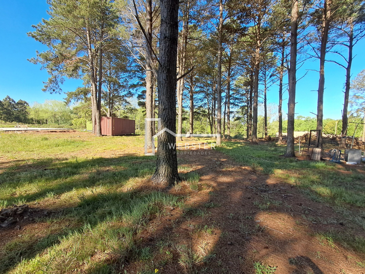 Terreno ID.2434 - PUNTA BALLENA CNO LUSSICH TERRENOS DE 2000 M2 EN VENTA!!!