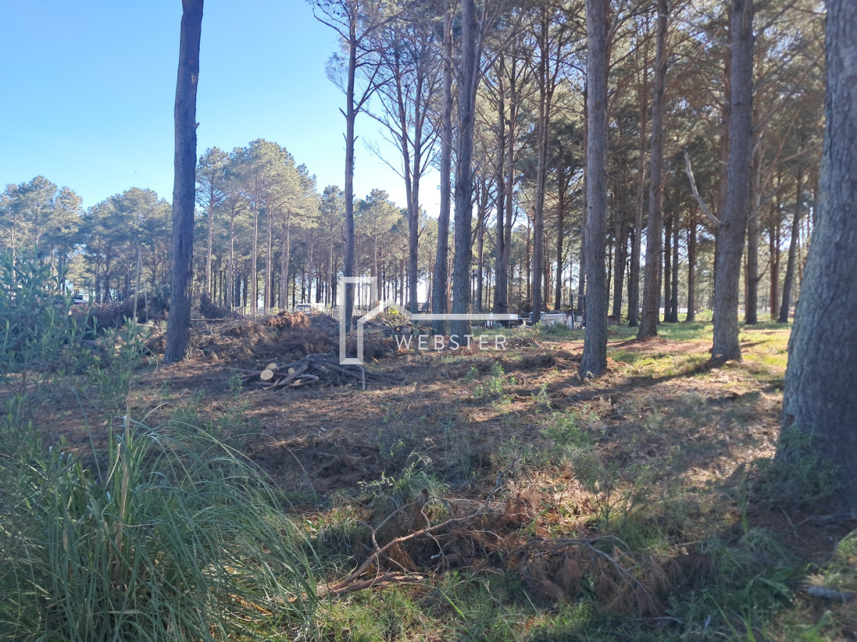 Terreno ID.2434 - PUNTA BALLENA CNO LUSSICH TERRENOS DE 2000 M2 EN VENTA!!!