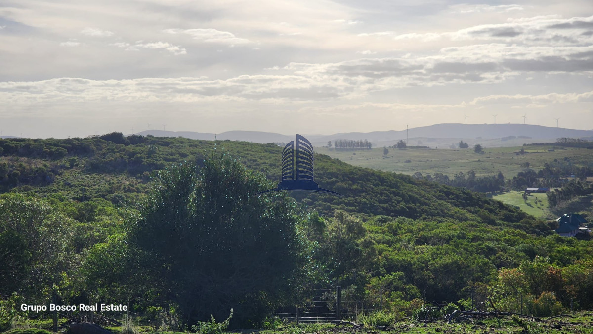 Las Cañas - GoPunta - Portal Inmobiliario de Punta del Este - Maldonado