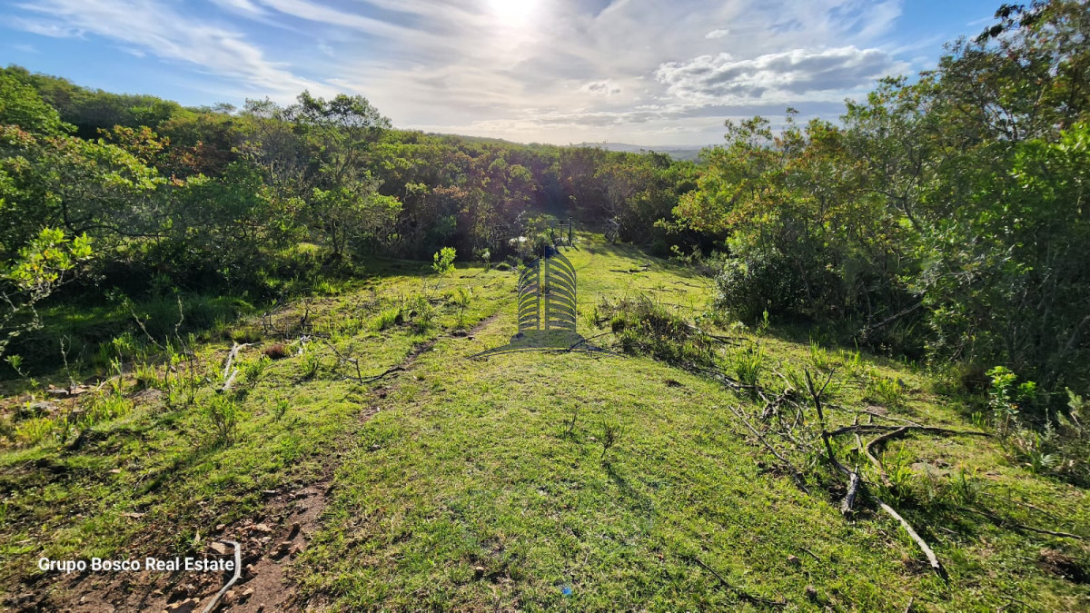 Las Cañas - GoPunta - Portal Inmobiliario de Punta del Este - Maldonado