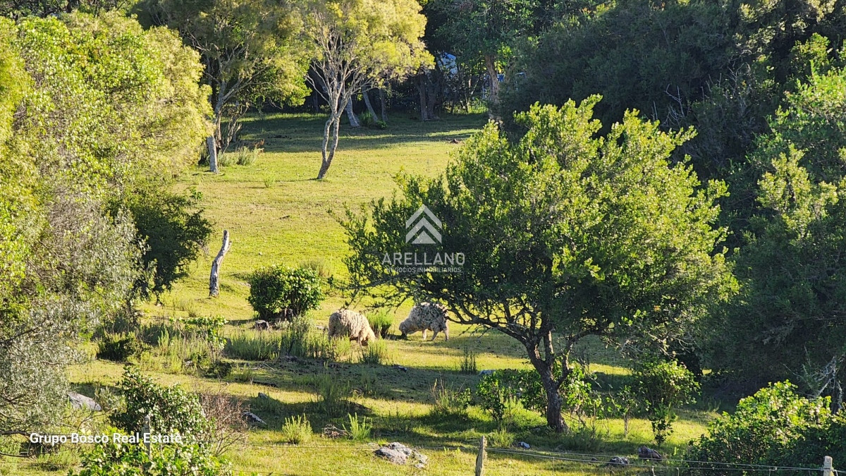 Chacra ID.3989 - Venta chacra en las Cañas 3 dormitorios 