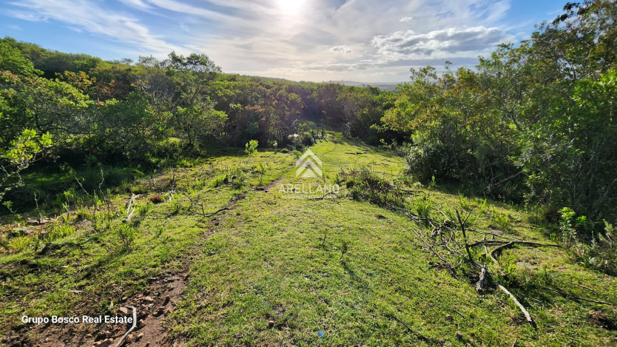 Chacra ID.3989 - Venta chacra en las Cañas 3 dormitorios 