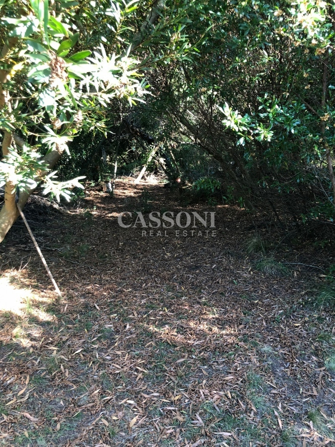 Chacra ID.2774 - VENTA DE CHACRA EN LAS CAÑAS